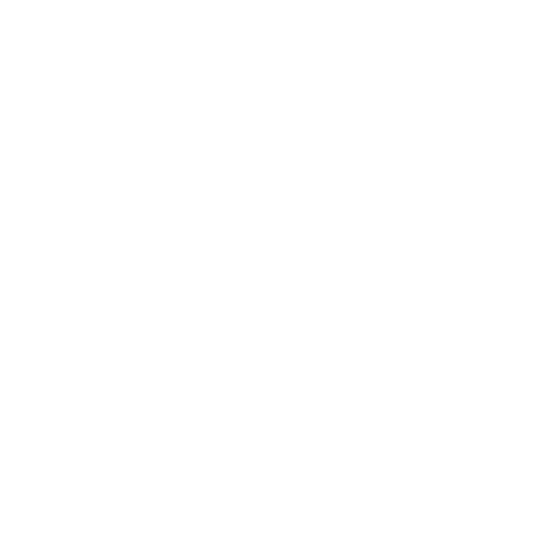 rhone Facebook Media Buying